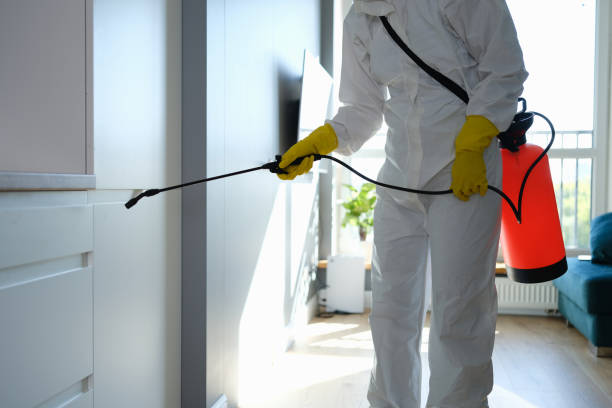 Home Mold Removal in Raubsville, PA