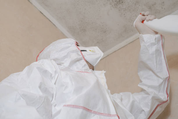 Best Emergency Mold Removal  in Raubsville, PA